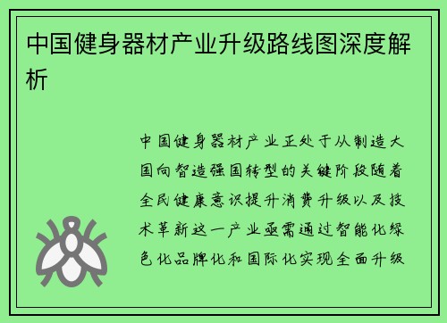 中国健身器材产业升级路线图深度解析